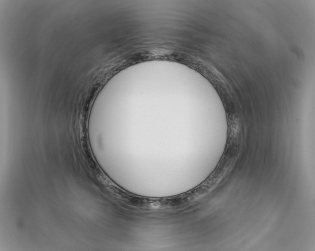 X0000113060565200908280950