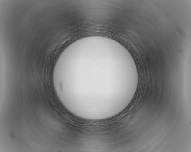 X0000113060566200908280950