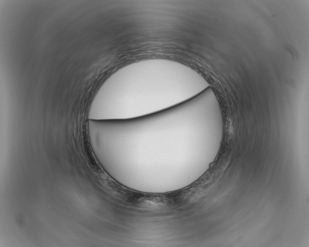 X0000113060567200908280950