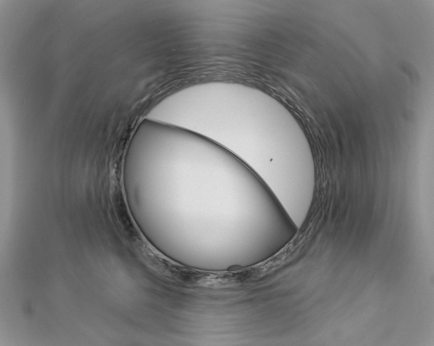 X0000113060568200908280950