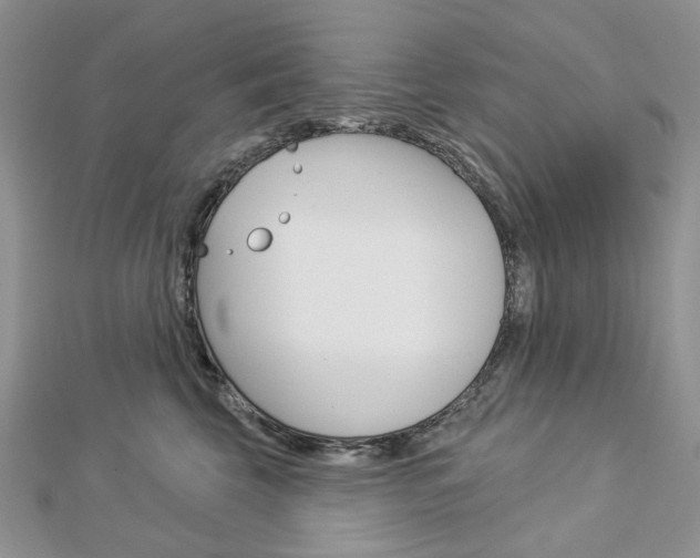 X0000113060569200908280950