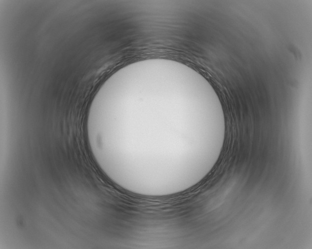 X0000113060570200908280950