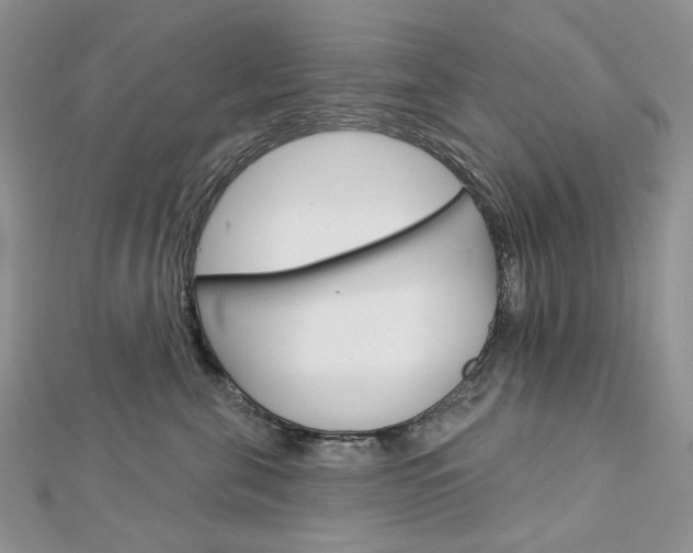 X0000113060571200908280950
