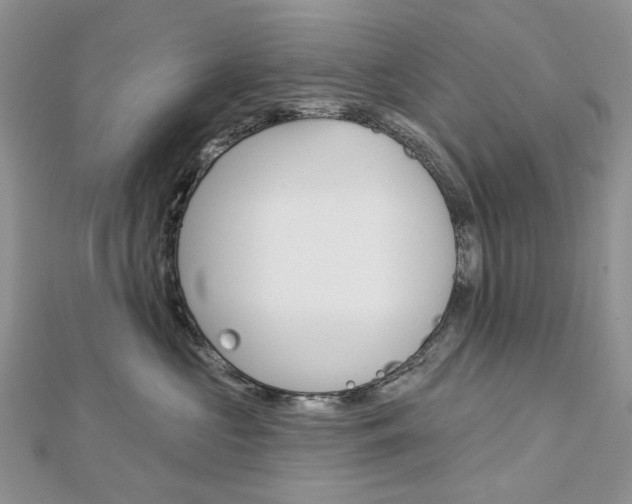 X0000113060573200908280950
