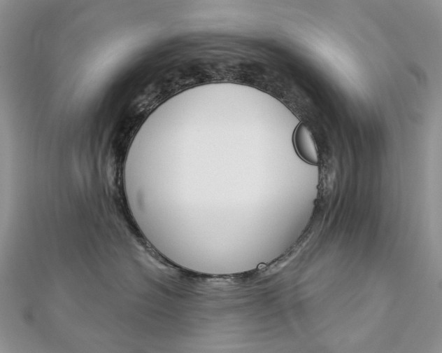 X0000113060574200908280950