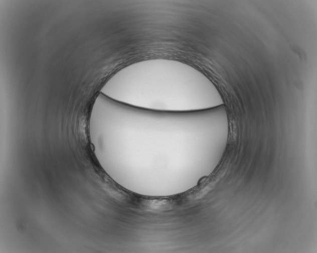 X0000113060575200908280950