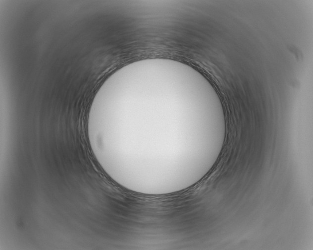 X0000113060576200908280950