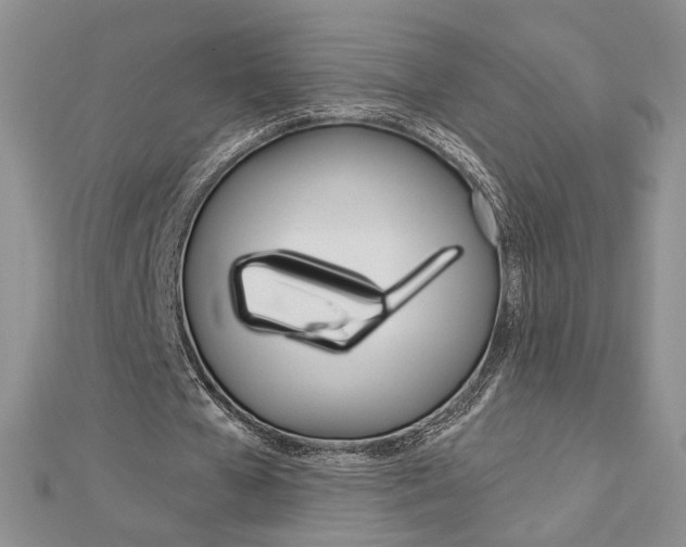 X0000113060577200908280949