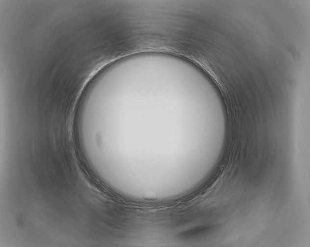 X0000113060579200908280949