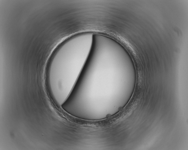 X0000113060580200908280949