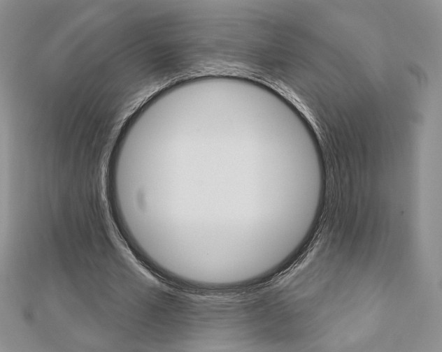 X0000113060581200908280949