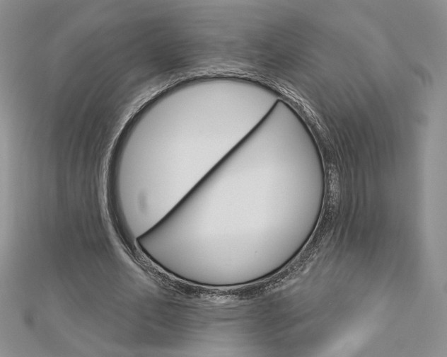 X0000113060582200908280949
