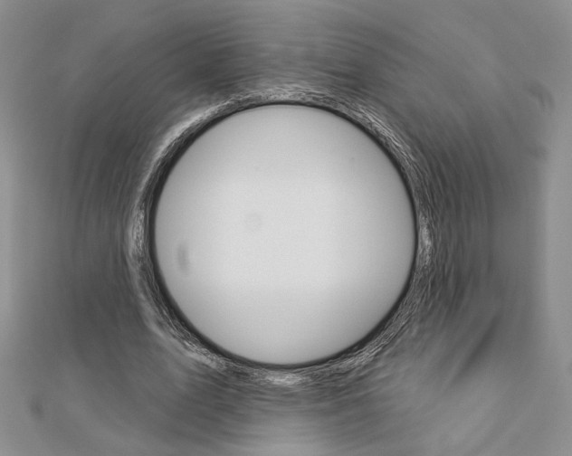 X0000113060583200908280949