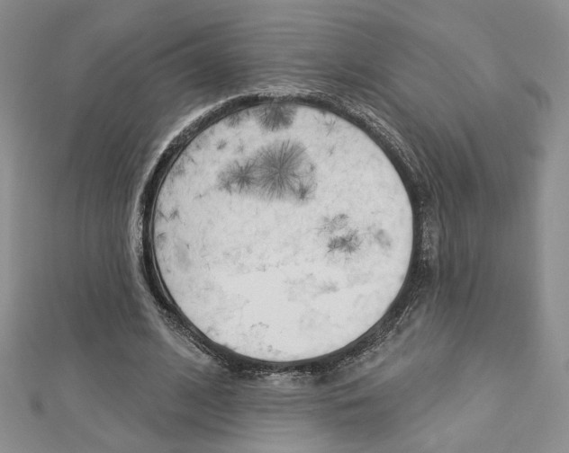 X0000113060584200908280949