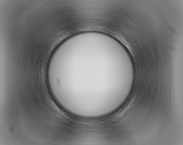 X0000113060585200908280949