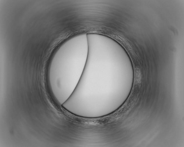 X0000113060586200908280949