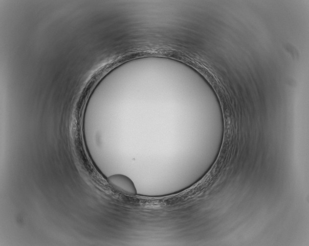 X0000113060587200908280949