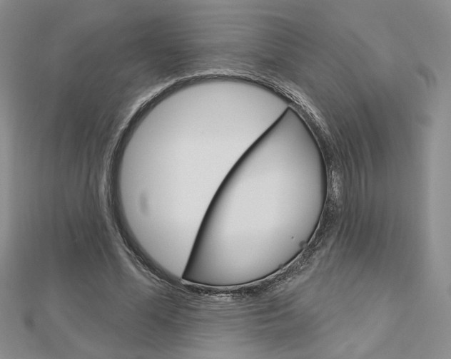 X0000113060588200908280949