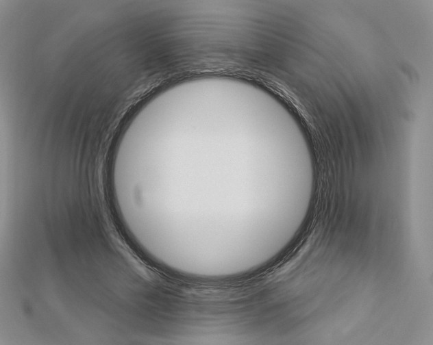 X0000113060589200908280949