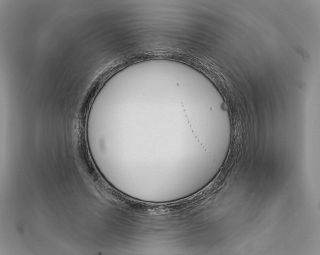X0000113060591200908280949