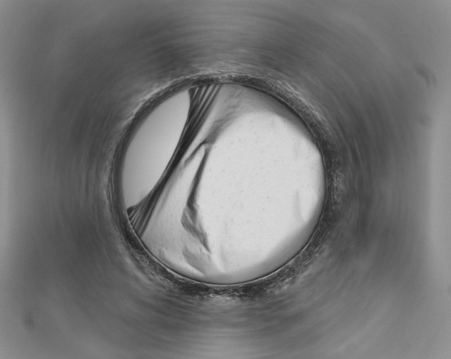 X0000113060592200908280949