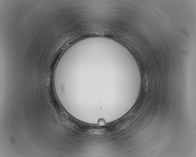 X0000113060595200908280949
