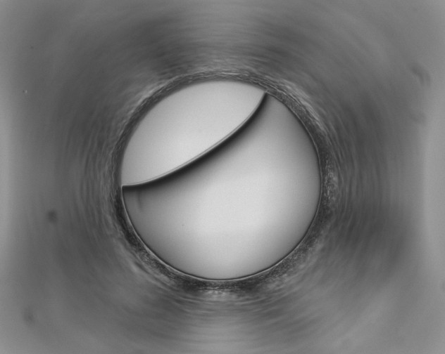 X0000113060596200908280949