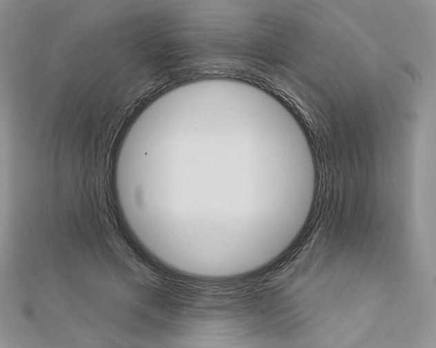 X0000113060597200908280949