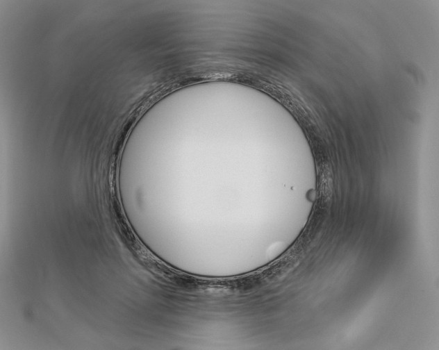 X0000113060598200908280949