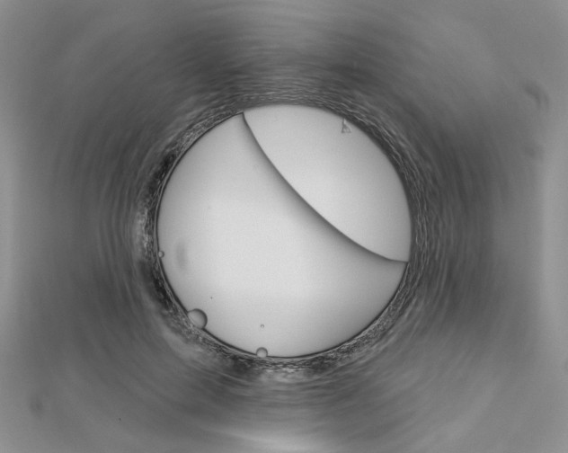 X0000113060599200908280949