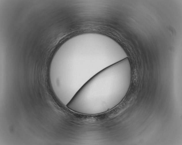 X0000113060600200908280949