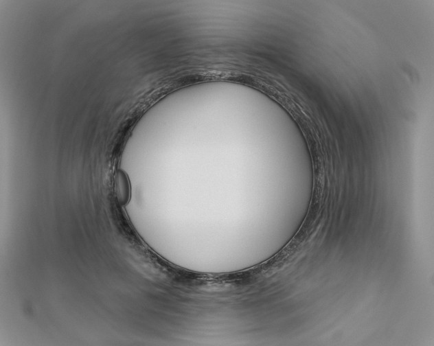X0000113060601200908280949