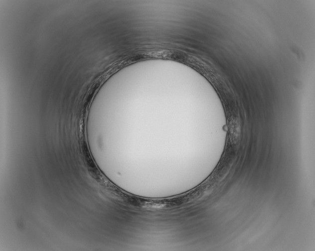 X0000113060602200908280949