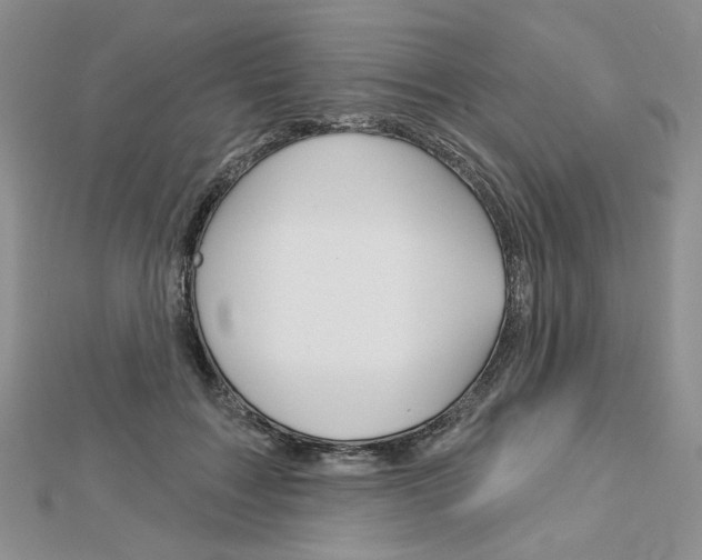 X0000113060603200908280949