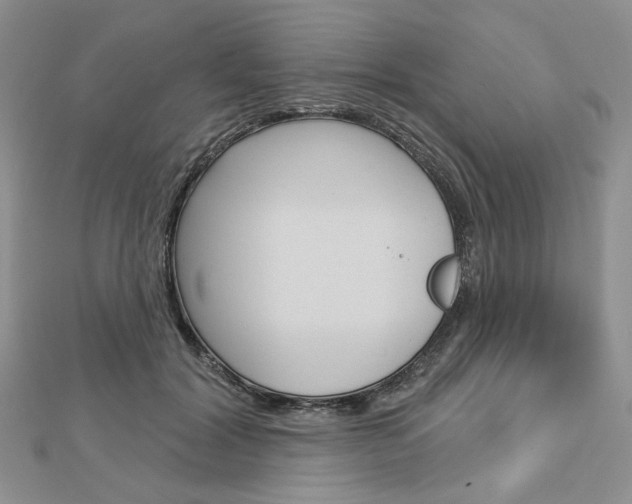 X0000113060604200908280949