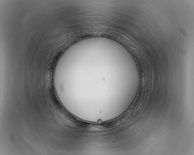 X0000113060605200908280949