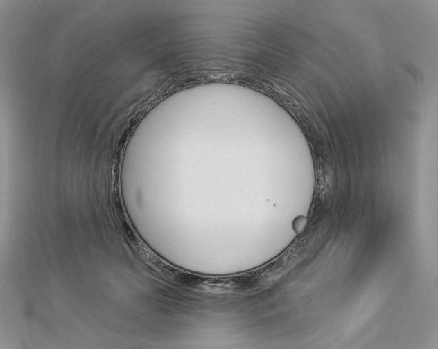 X0000113060606200908280949