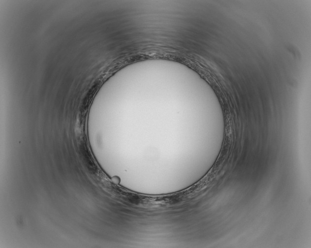 X0000113060607200908280949
