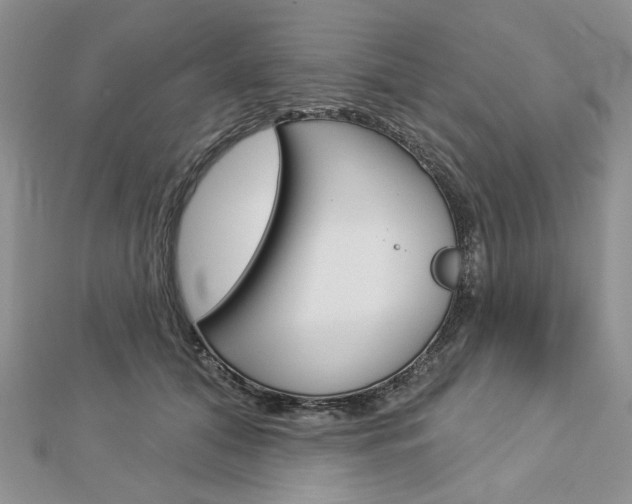 X0000113060608200908280949