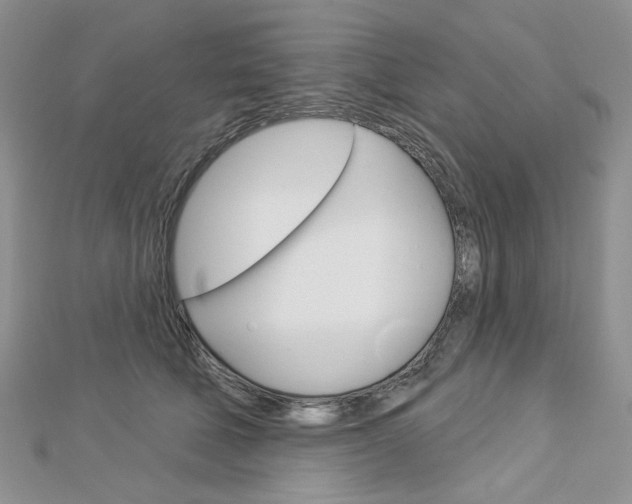X0000113060610200908280949