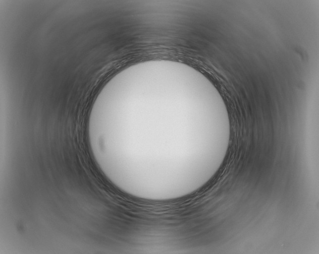 X0000113060611200908280949