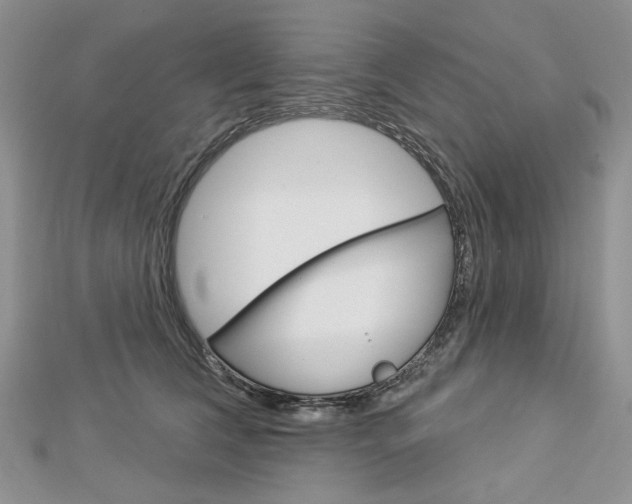 X0000113060612200908280949