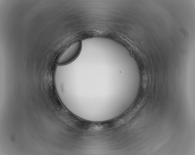 X0000113060613200908280949