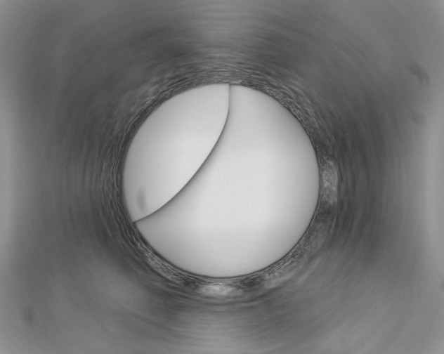 X0000113060614200908280949