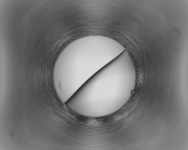 X0000113060616200908280949