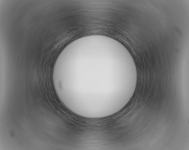 X0000113060617200908280949