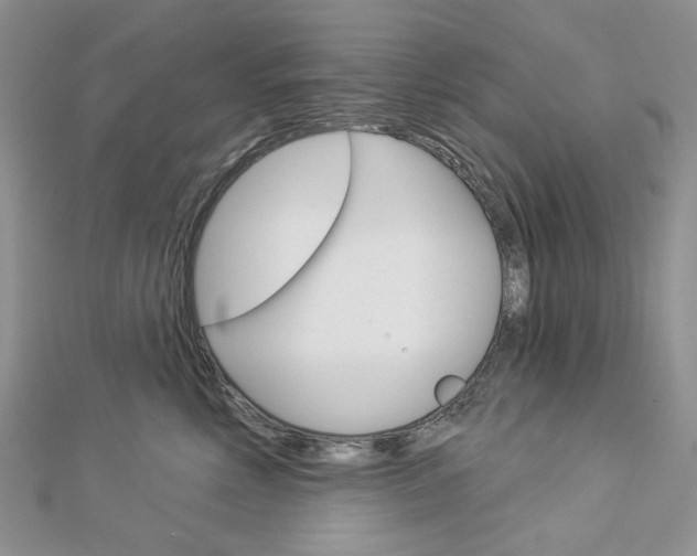 X0000113060618200908280949