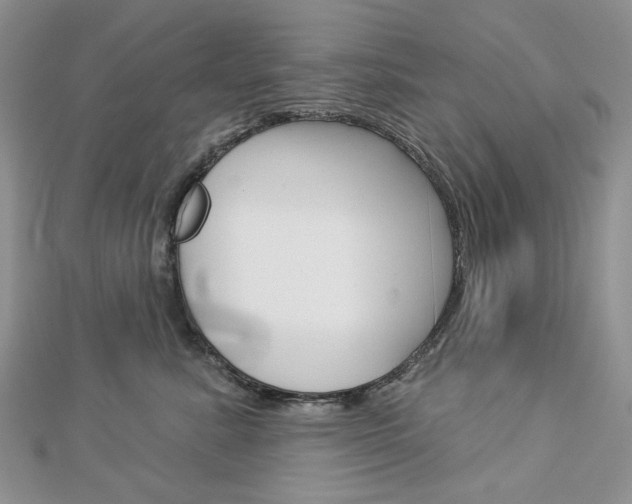 X0000113060619200908280949