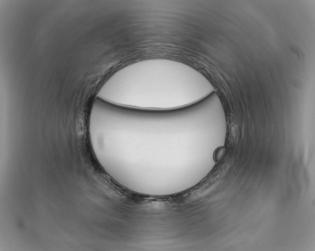 X0000113060620200908280949