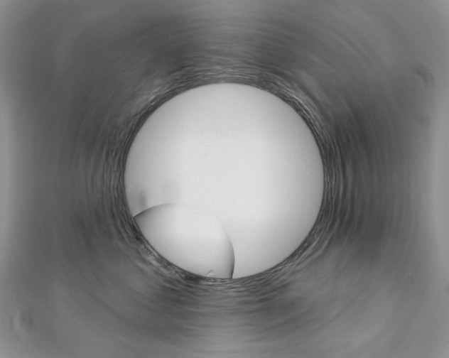X0000113060621200908280949